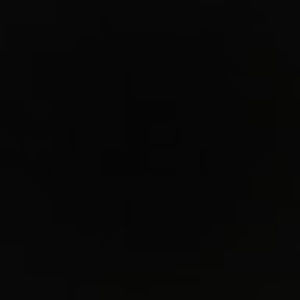 Meet your Posher, Aric